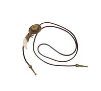 Beavorty Cravate Bolo pour Homme Collier Western Vintage avec Pendentif Dent Chaîne Longue pour Pull Accessoires de Cowboy