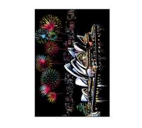 Beavorty Dessin à Gratter Adulte Tableau Gratter Sydney Opéra Décoratif Outil de Décompression Créatif pour Fidget Adultes Carte Présent Encadrée