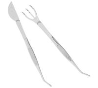 Beavorty Ensemble d'Outils pour Bonsaï Pince à Épiler Multifonction et Râteau pour Ameublir la Terre, Adapté aux Amateurs et Professionnels des Plantes d'Intérieur