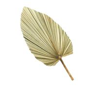 Beavorty Feuille de Palmier Séchée Naturelle Grosse Taille Verte Olive Décorative pour Mariage et Fête, Accessoire Photo Feuilles de Palmier Tropicales, Décoration Murale D’intérieur