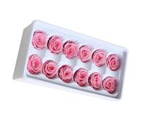 Beavorty Fleurs Éternelles Roses 12 Pièces pour Décoration de Mariage et Fabrication de Bouquets Tiges 3-4 CM en Matériau Stable