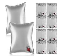 Beavorty Lot de 10 Poches à Vin Portables 5l avec Bec Verseur à Clapet, Réutilisables en Plastique Résistant, Contenant à Boisson pour Pique-niques, Camping et Distribution Facile de Vin