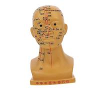 Beavorty Modèle D'acupuncture Tête Médicale 20 Cm En Pvc Souple, Modèle De Massage Tête Précis Et Éducatif, Outil Pédagogique Pour Enseignement Et Démonstration En Anatomie