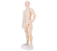 Beavorty Modèle D'affichage des Points D'acupuncture du Corps Humain en Plastique, Taille Réelle Présentation Claire pour Formation Éducative en Centre