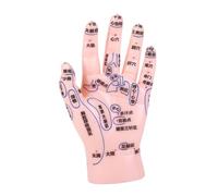 Beavorty Modèle de Main pour Apprentissage de Acupuncture Réflexologie Simulation Précise des Zones de Points Acupuncture pour Éducation Médecine Traditionnelle Chinoise Pratique Du