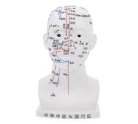 Beavorty Modèle de Tête Acupuncture Médicale Modèle de Points Acupression Faciaux et Crâniens pour Enseignement Pratique Du Massage
