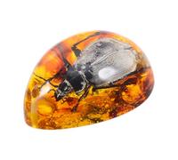 Beavorty Pendentif en Résine Ambre Or Léger et Portable, Spécimen Décoratif Stylé de Scarabée pour Garçon et Filles, Design Créatif sans Danger Main
