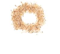 Beavorty Pierres pour Plantes Succulentes Naturelles, Petits Cailloux Décoratifs pour Jardinières, Graviers Drainants pour Cactus et Bonsaïs, Galets Décoratifs Solide pour Aménagement