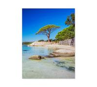 BEAYODKP 5d Diamant Broderie，Pin parasol sur la plage de Palombaggia dans le sud de la Corse，Diamant Croix Peinture Kits Diy（40 x 50 cm/15.74 x 19.68 pouces）-C100