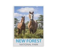 BEAYODKP 5D DIY Diamant Peinture，Parc national de la New Forest，Diamant Point De Croix Mosa?que Image Halloween Diamant Broderie（50 x 60 cm/19.68 x 23.62 pouces）-HY62