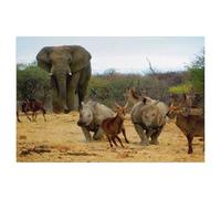 BEAYODKP 5D Diy Diamond Painting，Éléphant et autres animaux africains，Cross Stitch Full Diamond Embroidery Mosaic Pattern Beaded Embroidery（30 x 40 cm/11.81 x 15.74 pouces）-AE63