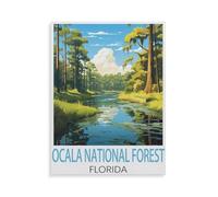 BEAYODKP 5D Diy Diamond Painting，Forêt nationale d'Ocala, Floride，Cross Stitch Full Diamond Embroidery Mosaic Pattern Beaded Embroidery（30 x 40 cm/11.81 x 15.74 pouces）-HZ76