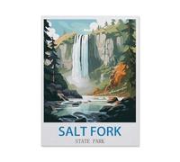 BEAYODKP 5D Diy Diamond Painting，Parc d’État Salt Fork（50x60cm）