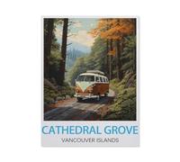 BEAYODKP Cathedral Grove, Île de Vancouver, Canada，Kit de peinture diamant 5D Kit complet d'art en cristal pour adultes et enfants（40 x 50 cm/15.74 x 19.68 pouces）-BD19