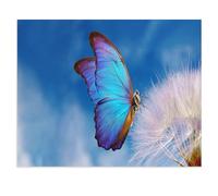 BEAYODKP Décoration murale rétro en métal，Makro-Fotografie: Der Blaue Morpho Schmetterling auf Einer Pusteblume，imprimée pour club, bar, café, salon, cuisine, garage, maison(20x30cm 8x12 inch-W26
