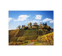BEAYODKP Diamond Painting，Stuttgart: vue panoramique avec vignobles, Allemagne，kits de peinture de strass de diamant de DIY pour des arts de broderie d'adultes décor à la maison（30 x 40 cm）-N34