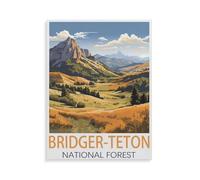 BEAYODKP DIY 5D Diamant Peinture Broderie Kit Diamant Peinture，Forêt nationale de Bridger-Teton，Mosa?que Artisanat Cadeaux Faits à La Main（30 x 40 cm/11.81 x 15.74 pouces）-HZ87