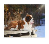 BEAYODKP Panneau en étain en métal，Saint-Bernard de race pure couché sur une passerelle en bois, hiver，décor de maison pour café, Bar, décor Vintage(30x40cm 12x16 inch-X49