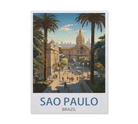 BEAYODKP Panneau en métal en étain，São Paulo, Brésil, Rue，Tin Sign Vintage Decor Cave Café Bar Chambre Maison Décoration murale nostalgique en étain(30x40cm 12x16 inch-DV53