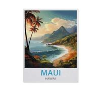 BEAYODKP Peinture par Numero Adulte，Affiche de voyage vintage Maui Hawaï，Kit de Peinture à l'huile sur Toile pour Débutants avec Brosses et Acryliques Peintures pour Maison Décor(50x60cm-AP27