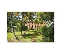 BEAYODKP Peinture par Numero，Colonie pénitentiaire de Cayenne, Guyane française，Kit de Peinture à l'huile sur Toile pour Débutants avec Brosses et Acryliques Peintures （40x50cm）-C4