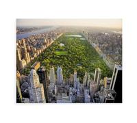 BEAYODKP Peinture par Numero Kits Brosses et peintures acryliques，Vue Aérienne De Central Park, Manhattan, New York，Adultes Enfants Seniors Débutant Cadeau de Peinture（20x30cm） 7,8x11,8 pouces-E82