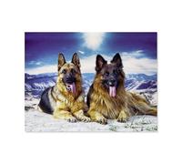 BEAYODKP Peinture par Numero pour Enfants，chien de berger allemand，DIY Peinture à l'huile Peindre par Nombre Kits sur Toile à Faire soi-même avec Pinceaux（50x60cm） 19.6x23.6 pouces-B32