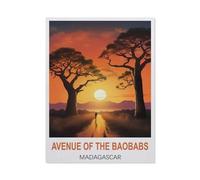 BEAYODKP Peinture par numéros pour adulte,Allée des Baobabs à Madagascar,Kit de peinture à l'huile sur toile DIY avec pinceaux(40x50cm-BI28