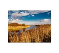 BEAYODKP Plaque en métal vintage，Roseau au bas-fond，Vintage Art Sign Home Kitchen Bar Cafe Club Cave Décoration Tin Sign(20x30cm 8x12 inch-AR52