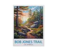 BEAYODKP Plaque en métal vintage，Sentier Bob Jones, Californie，Vintage Art Sign Home Kitchen Bar Cafe Club Cave Décoration Tin Sign(15x30cm 6x12 inch-CM39