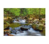 BEAYODKP Plaque en métal vintage，Val d’Ilse près d’Ilsenburg，Vintage Art Sign Home Kitchen Bar Cafe Club Cave Décoration Tin Sign(20x30cm 8x12 inch-AB21