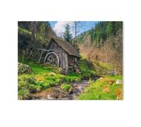 BEAYODKP Plaque humoristique en métal，Forêt noire，Décoration murale rétro pour maison, cuisine, salle à manger, bar, café, restaurant, club, grotte(20x30cm 8x12 inch-AG47