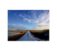 BEAYODKP Signe Métal Vintage，Champs hivernaux à Butjadingen，Rétro Peinture Plaque Signe En Fer Décor Mural Art Mural Suspendu Pour Salon Maison Café Décoration Noël Cadeau(20x30cm 8x12 inch-AR9