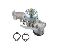 BEAZOOM Carburateur de rechange pour tondeuse à gazon 491026 281707 491031 490499 281702 Construction en acier robuste