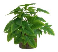 BEAZOOM Faux feuillage Monstera en pot imprimé en 3D, plante verte artificielle réaliste pour accessoires photo de mariage et espaces intérieurs (D)