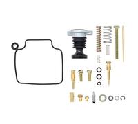 BEAZOOM Kit de reconstruction de carburateur FourTrax 300 TRX300 2x4 FW 4x4 1993-2000 avec 120 pour jet principal et jeu de vis de ressort de pompe