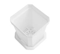BEAZOOM Lot de 10 petits pots de fleurs carrés avec dômes transparents et plateaux inférieurs, réutilisables pour pépinière en plastique avec drainage, fleurs, herbes, gaules, jardinage