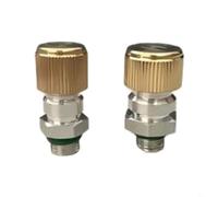 BEAZOOM Lot de 2 bouchons de valve de climatisation de voiture avec noyaux, couvercle de valve haute et basse pression avec bouchon en cuivre pour réparation de climatisation R134a