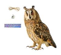 BEAZOOM Oiseau de jardin hibou décoratif en acrylique avec design réaliste, épouvantail à suspendre pour terrasse et balcon (A)
