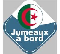 bébé à bord jumeaux d'origine Algérienne - 10x10cm - Sticker/autocollant