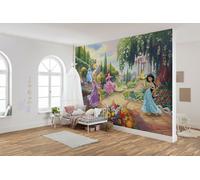 Papier Peint Photo Les Princesses Disney au parc 368cm x 254cm