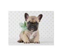 Bébé Chien pour Tomber Amoureux du Chiot Bulldog français，1000 Pièces Puzzle - Jeux pour Réduire Le Stress Familial - Jouets Ludiques pour Adultes - Décoration Intérieure Gifts（38x26cm）-AO32