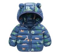 Bébé Doudoune Hiver Manteau à Capuche Enfant Duvet Veste Manches Longues Léger Blousons 6 Mois - 4 Ans