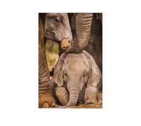 Bébé éléphant sous la Protection du Troupeau，1000 Pièces pour Adultes Cadeaux d'anniversaire pour Noël Jeu De Défi Familial Décoration Jeux ÉduChatifs Stress Relief 1000pcs（50x70cm）-AR97