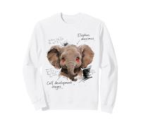 Bébé éléphant Yeux Rouges Street Style Vibes Sweatshirt