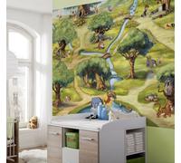 Bébé Garçon Photo Papier Peint 254x183cm Disney Chambre Mural Vert Forêt Ourson