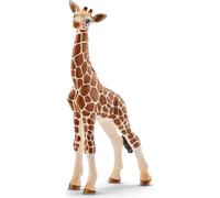 Bébé girafe