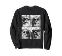 Bébé Lions Cubs avec Lunettes de Soleil Animaux Mignons Photo Booth Sweatshirt