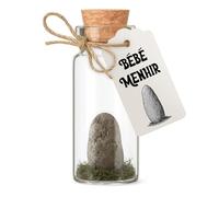 Bébé Menhir à Planter - Faites pousser votre menhir - Fiole humoristique avec une graine magique - Cadeau insolite pour amis ou collègues - Curiosité gauloise, humour breton - Personnalisation offerte