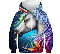 Bébé Padan Sweat à Capuche Enfants Garçons Filles Pull Sweat à Capuche Drôle Impression 3D Tops Pull Jeunes Vêtements de Sport, Licorne arc-en-ciel, 10-12 ans